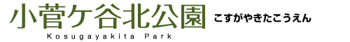 中田中央公園