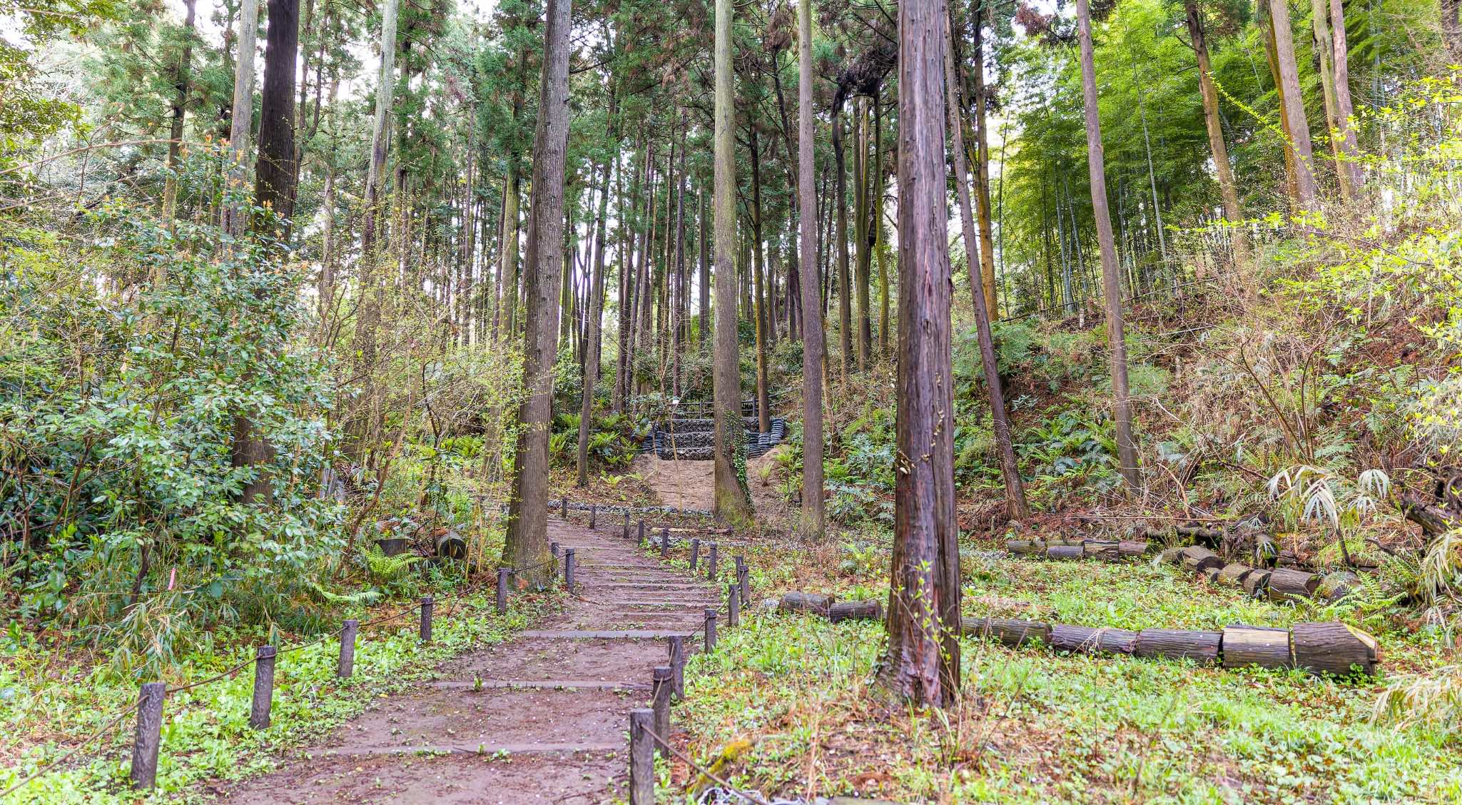 公園の写真