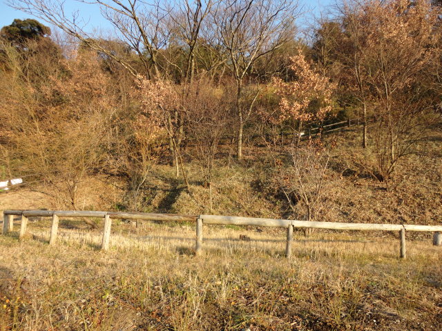 小菅ケ谷北公園　里山の風景
