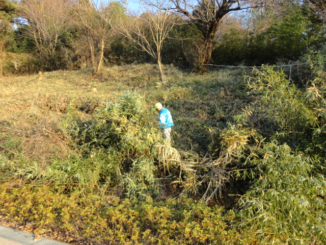 小菅ケ谷北公園　下草刈り