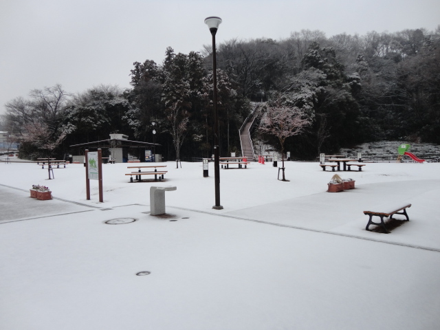 小菅ケ谷北公園雪景色