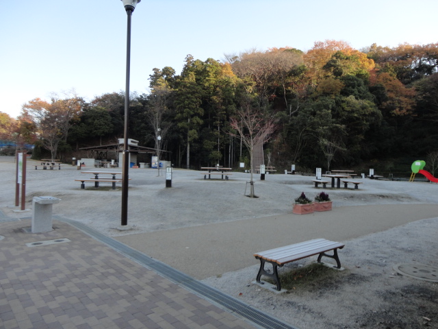 小菅ケ谷北公園　霜