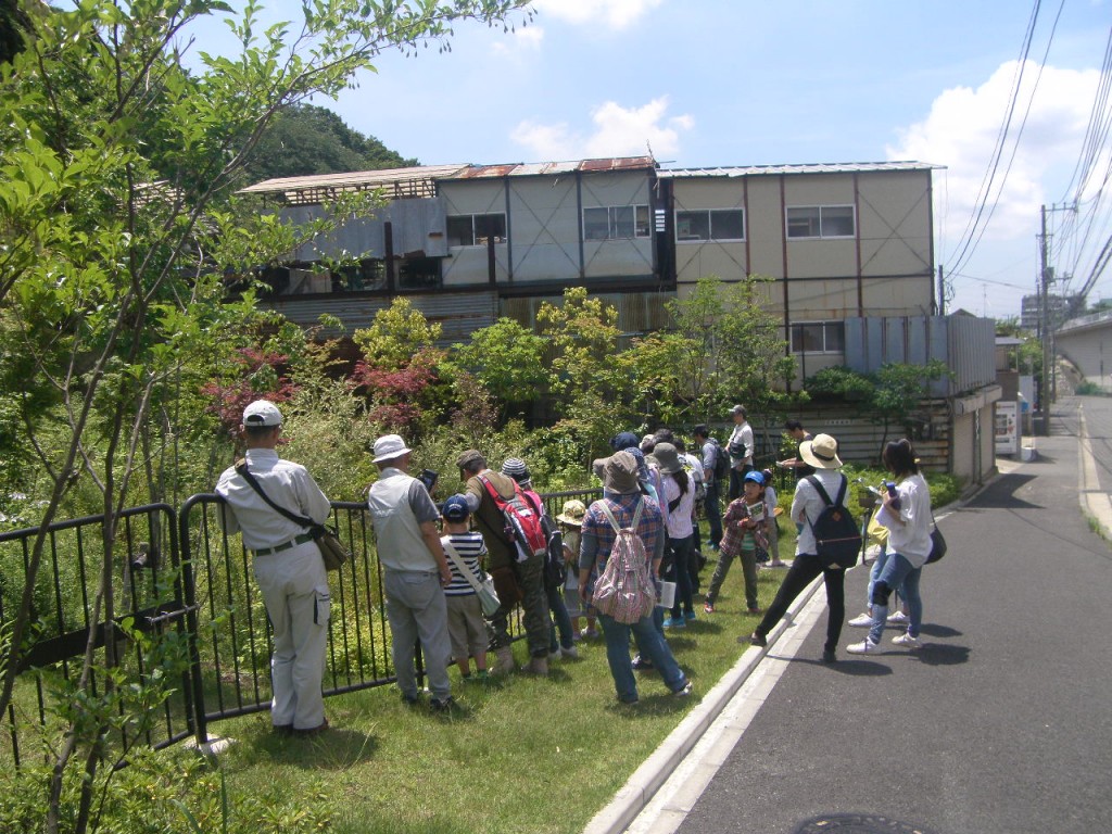 小菅ケ谷北いきもの