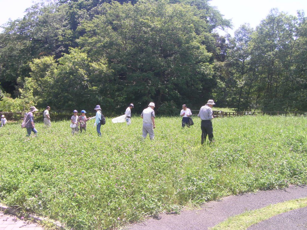 小菅ケ谷北いきもの