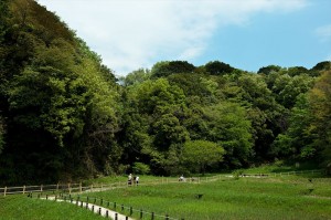 小菅ケ谷北公園　自然観察ゾーン