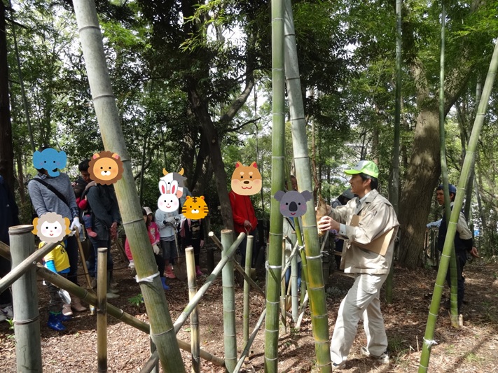タケノコ先生による掘り方の説明